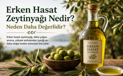 Erken Hasat Zeytinyağı Nedir? Neden Daha Değerlidir?