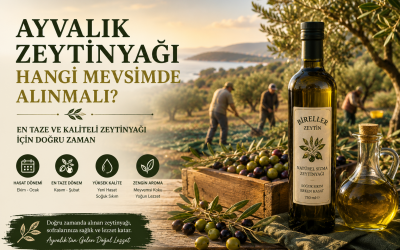 Ayvalık Zeytinyağı Hangi Mevsimde Alınmalı?