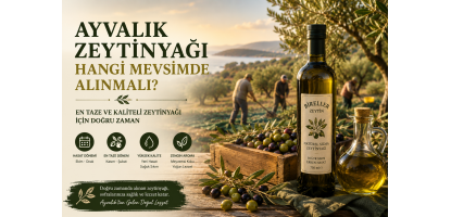Ayvalık Zeytinyağı Hangi Mevsimde Alınmalı?