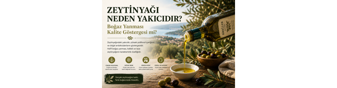 Zeytinyağı Neden Yakıcıdır? Boğaz Yanması Kalite Göstergesi mi?