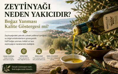 Zeytinyağı Neden Yakıcıdır? Boğaz Yanması Kalite Göstergesi mi?