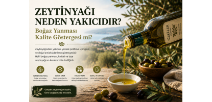 Zeytinyağı Neden Yakıcıdır? Boğaz Yanması Kalite Göstergesi mi?