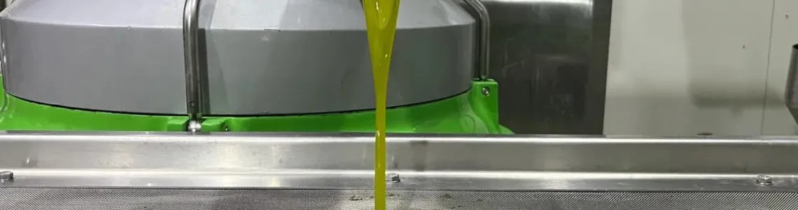 Butik Zeytinyağı Üretimi Neden Değerli?