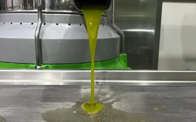 Butik Zeytinyağı Üretimi Neden Değerli?