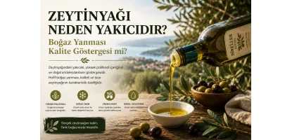 Zeytinyağı Neden Yakıcıdır? Boğaz Yanması Kalite Göstergesi mi?
