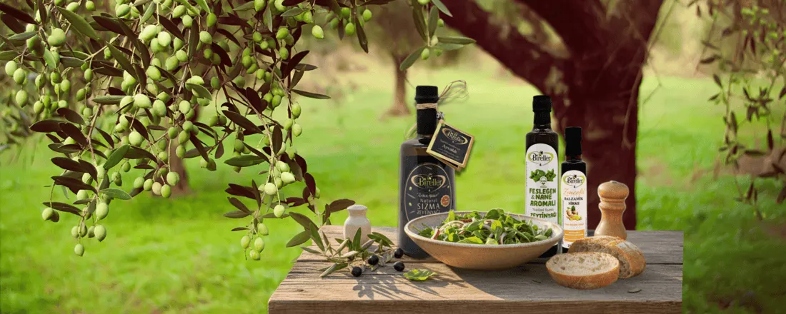 Kuzey Ege zeytinyağı görseli